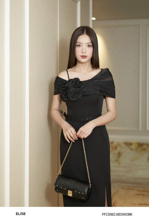 ĐẦM ĐEN PHỐI TƠ XẾP LY VAI ĐÍNH HOA